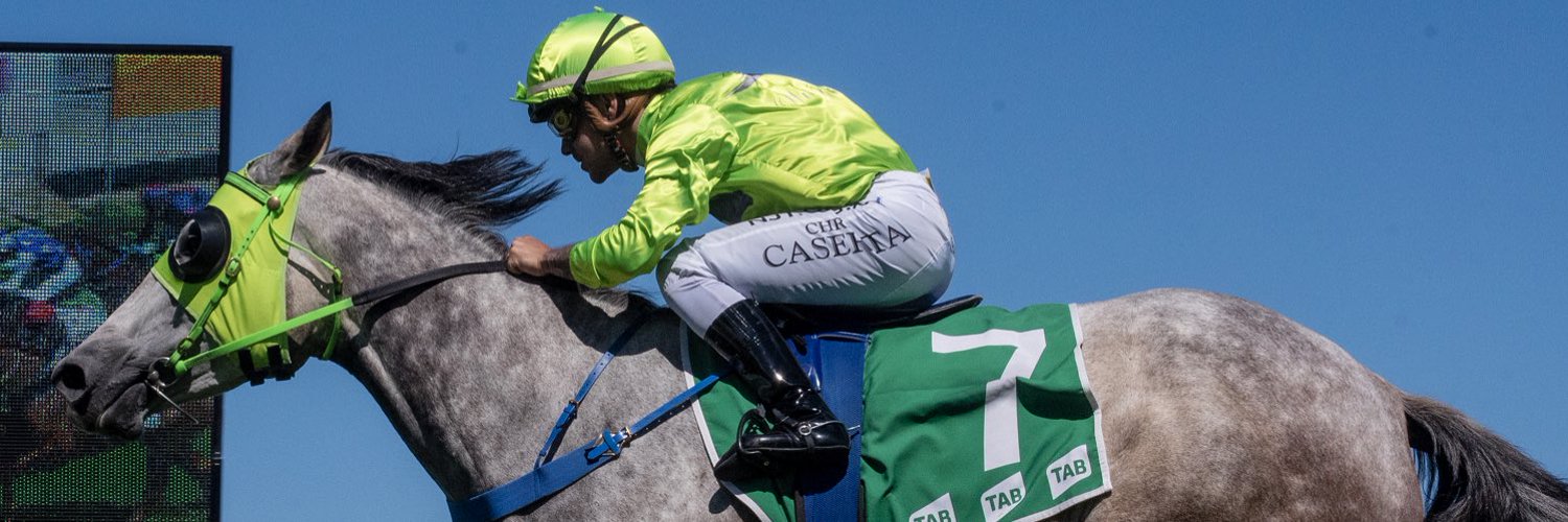 Chris Caserta 🇮🇹🤌🏼🏇 Profile Banner