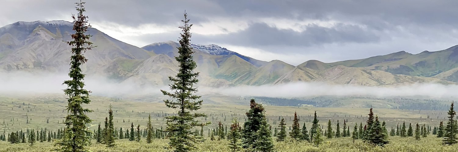 TheRealKPAT's profile banner image