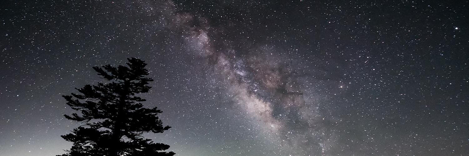 gecko_jp's profile banner image
