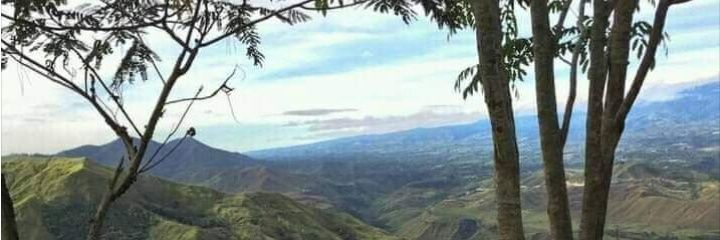 19_vanne's profile banner image