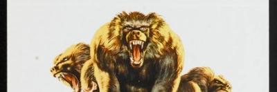 godape's profile banner image