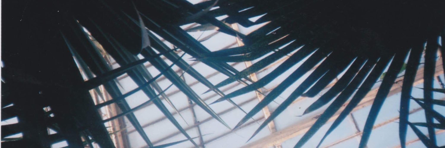 elllaenchanted's profile banner image