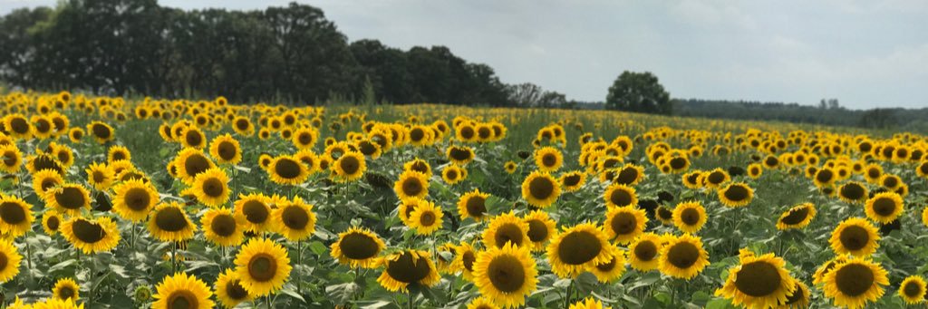 Heidilynn1027's profile banner image