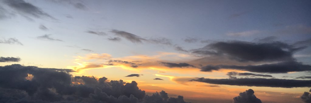 Lilia S. Pedraza banner