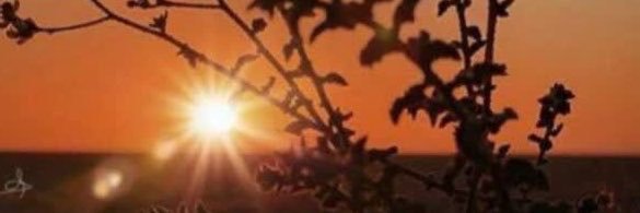 ALSAIFALBATTARR's profile banner image