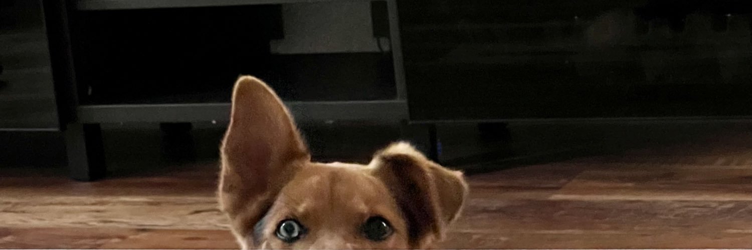 MarioFromThe6's profile banner image