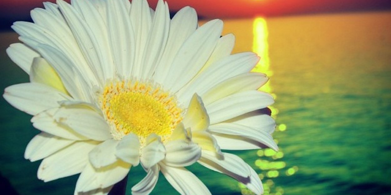 JkSoul0823's profile banner image
