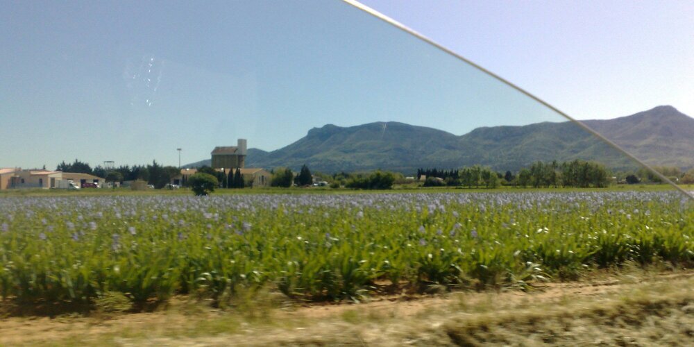 Emilie Fargier banner