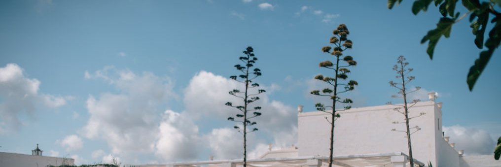 emseccombe's profile banner image