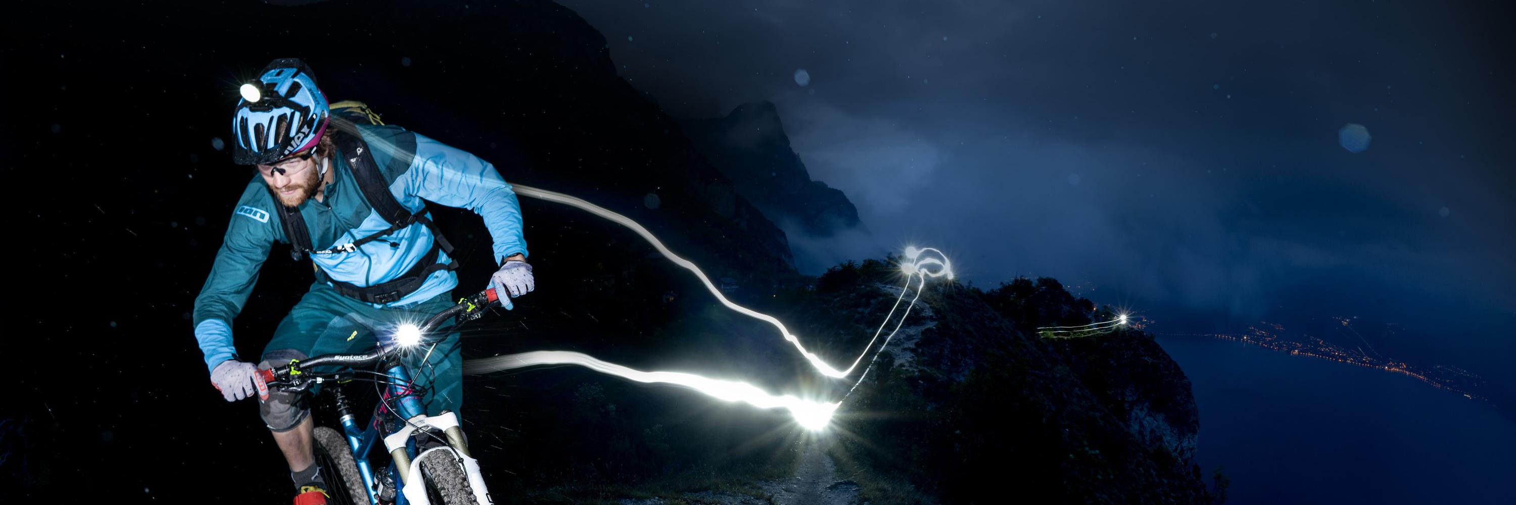 Lupine Lights banner