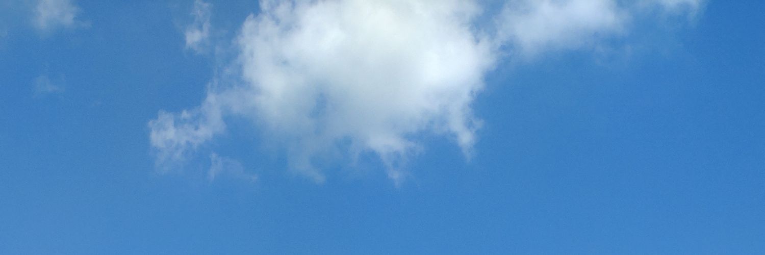 littlesubway's profile banner image