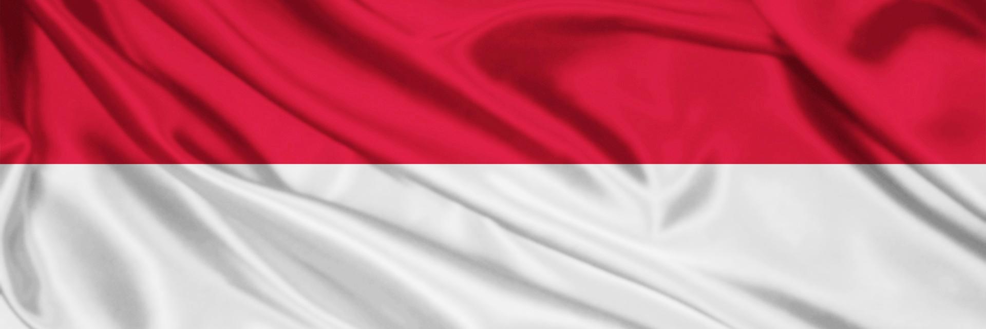 BEM FIKOM Esa Unggul banner