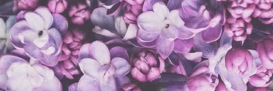 HellenEscobar_'s profile banner image