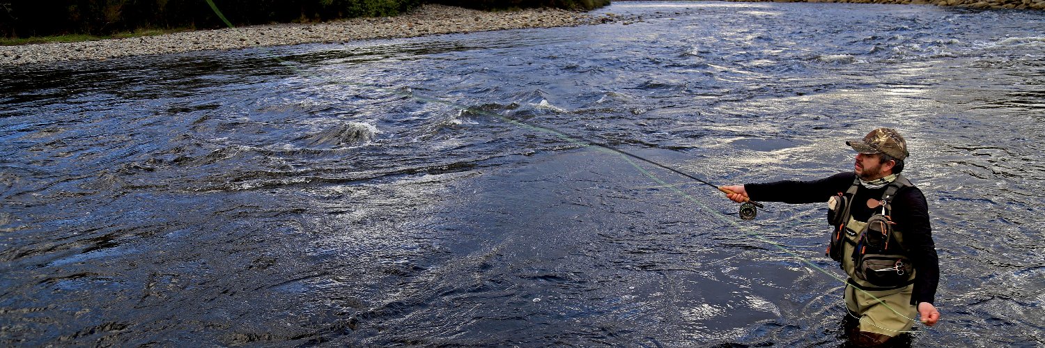 Luis Toledo Mora banner