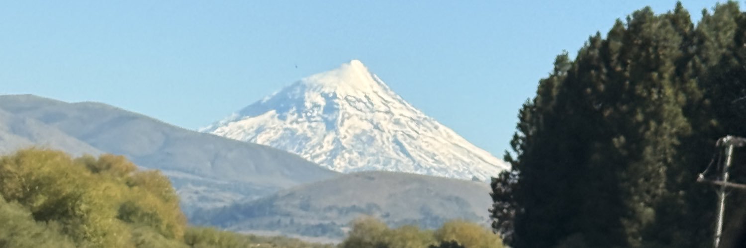 rochugerosa's profile banner image