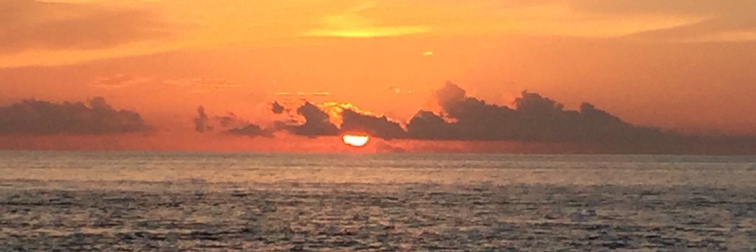 TiffaniCailor's profile banner image