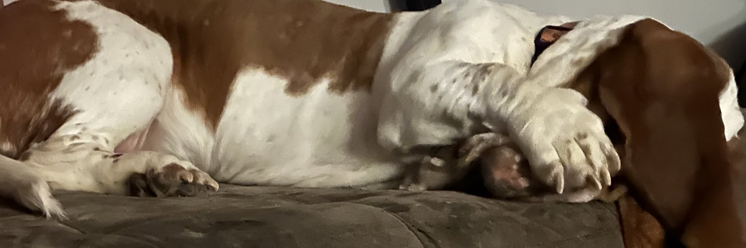 daddyadyy's profile banner image