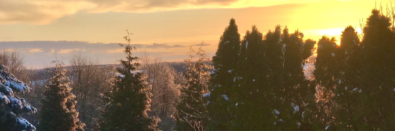 CPeterC's profile banner image