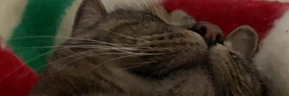 Michael of Manitoba banner