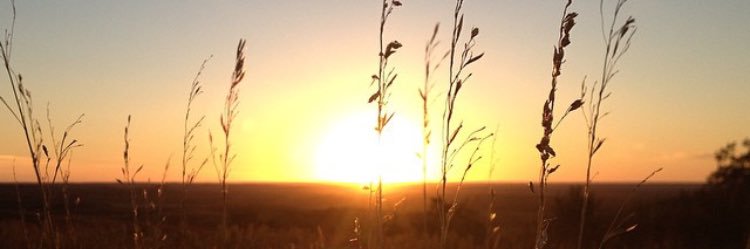 Sarah_Lynn753's profile banner image