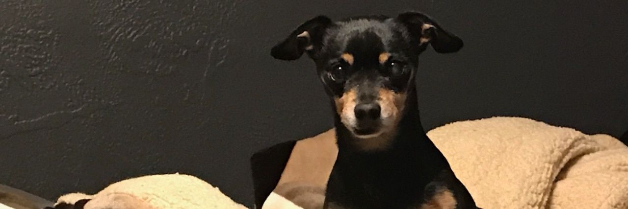JackaaayePues_'s profile banner image