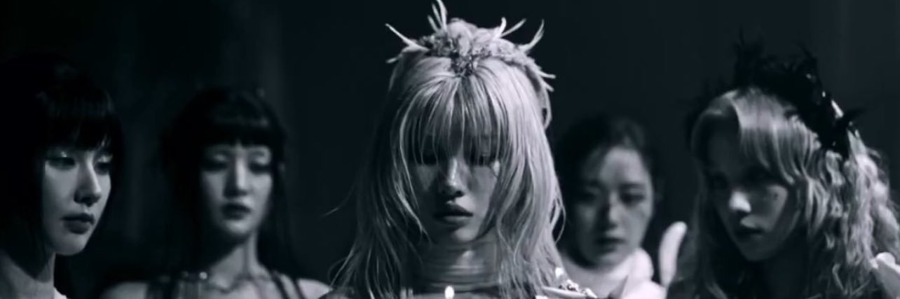 NamiNevie's profile banner image