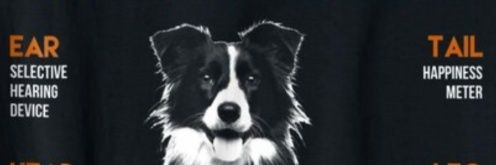 JMCisFran's profile banner image