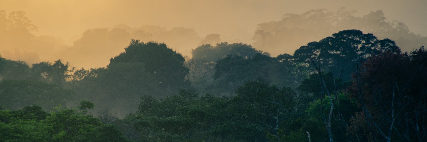 NWF_Intl's profile banner image
