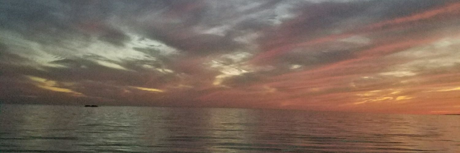 rrNoebel's profile banner image