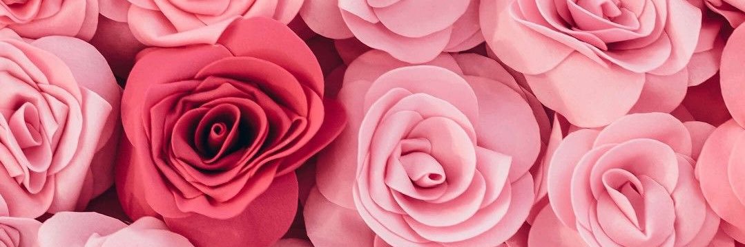 LesslieRojas1's profile banner image