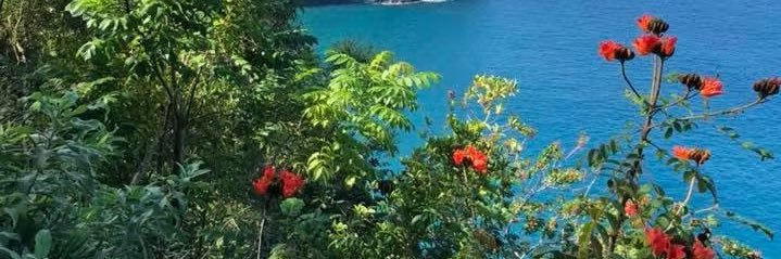 Jade Waring (Brock) banner