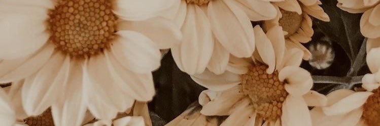 hsoofa's profile banner image