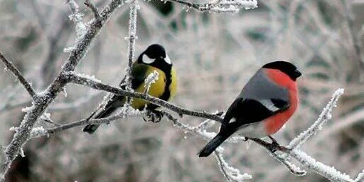 Över Ett Glas (R Branting) banner