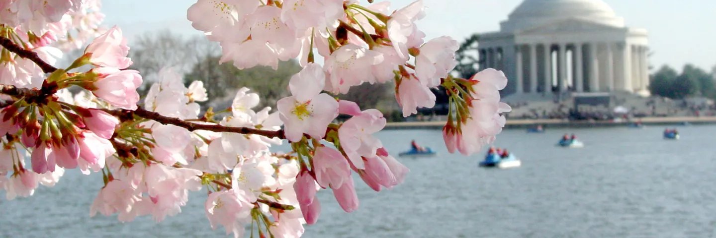iamhydrasznn's profile banner image