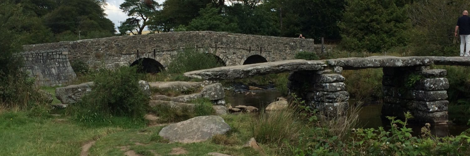 Sarah Bee banner
