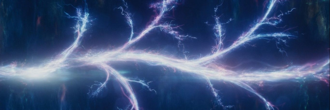 🪼ꪶ꠸ꪶ꠸ꪻꪖ🐬 banner