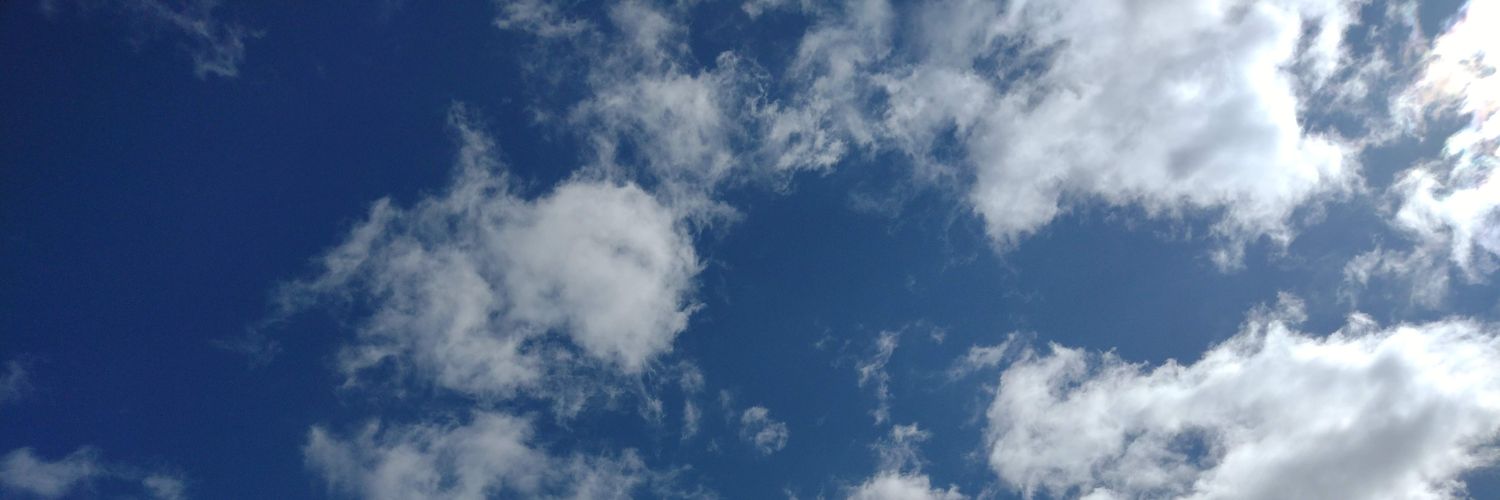 janasisu's profile banner image