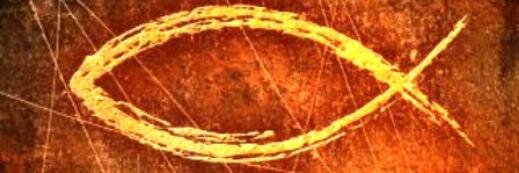 luzBRC's profile banner image