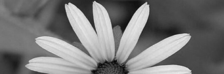 abooooooood321's profile banner image