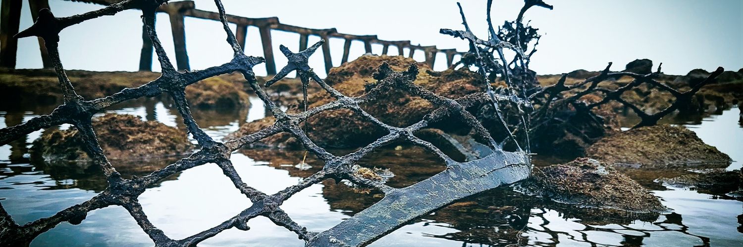 oppyfarizy's profile banner image