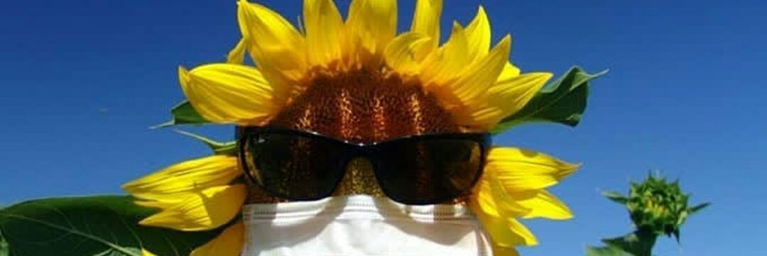 EcemYurukoglu's profile banner image