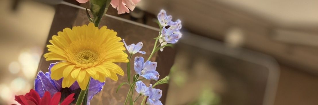 miwaa99's profile banner image