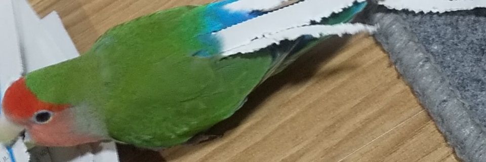 tackme1024's profile banner image