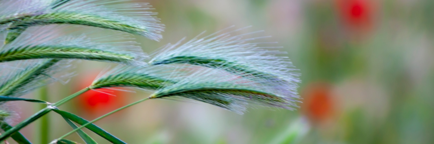 Soledad005's profile banner image