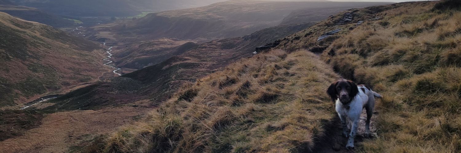 GazDean1's profile banner image