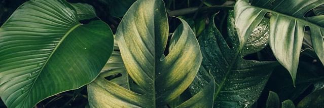 eissali1's profile banner image