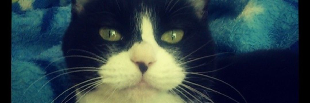 cfcnotk's profile banner image