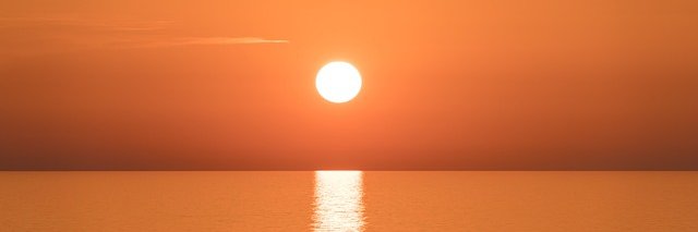 zoehammonds's profile banner image