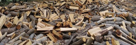 Patrick Bérard banner