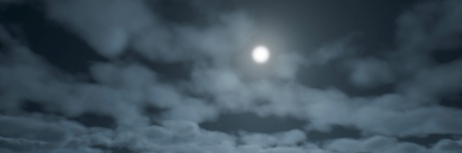Dianne Williams banner